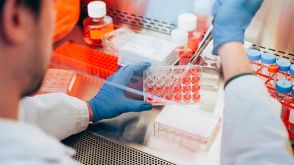 如何从多能干细胞生成NK细胞