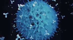 Integrating Electrofusion with the ClonaCell™-HY Workflow for Hybridoma Production