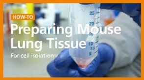 How to Dissociate Mouse Lung into a Single-Cell Suspension
