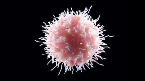 How to Measure NK Cell-Mediated Antibody-Dependent Cellular Cytotoxicity Using Flow Cytometry-Based Assays