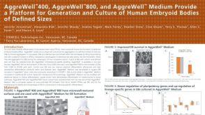 Aggrewell™ 400, Aggrewell™ 800, and Aggrewell™ Medium Provide a Platform for Generation and Culture of Human Embryoid Bodies of Defined Sizes