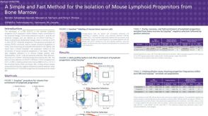 Cell Isolation of Mouse Lymphoid Progenitors from Bone Marrow