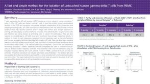 Cell Isolation of Untouched Human Gamma-Delta T Cells from PBMC