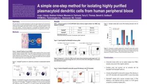 Isolation of Plasmacytoid Dendritic Cells from Human Peripheral Blood
