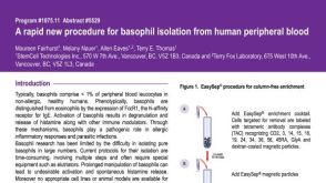 Basophil Isolation from Human Peripheral Blood