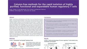 Rapid Isolation of Highly Purified, Functional and Expandable Human Regulatory T Cells