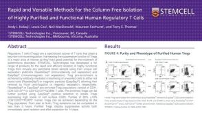 Column-Free Isolation of Highly Purified and Functional Human Regulatory T Cells