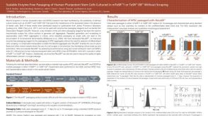 Scalable Enzyme-Free Passaging of Human Pluripotent Stem Cells Cultured in mTeSR™1 or TeSR™-E8™ Without Scraping