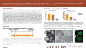 Reprogramming of Somatic Cells to Induced Pluripotent Stem Cells in TeSR™-E7™, a Feeder-Free, Defined, and Low-Protein Medium