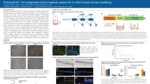 PneumaCult™: an Integrated Culture Medium System for in Vitro Human Airway Modeling