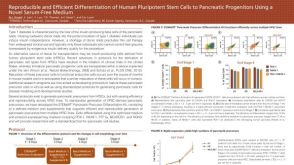 Reproducible and Efficient Differentiation of Human Pluripotent Stem Cells to Pancreatic Progenitors Using a Novel Serum-Free Medium