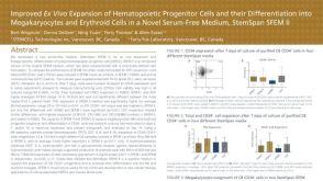 Hematopoietic Expansion and Differentiation Into Megakaryocytes and Erythroid Cells With StemSpan™ SFEM II