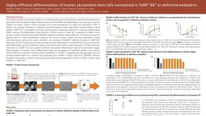Highly Efficient Differentiation of Human Pluripotent Stem Cells Maintained in TeSR™-E8™ to Definitive Endoderm