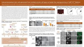 Induced Pluripotent Stem Cells Generated from Multiple Somatic Cell Types via Feeder Free Reprogramming in TeSR™-E7™ Medium