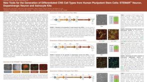 New Tools for the Generation of Differentiated CNS Cell Types from Human Pluripotent Stem Cells: STEMdiff&trade; Neuron, Dopaminergic Neuron and Astrocyte Kits