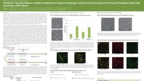 BrainPhys™ Neuronal Medium: A Medium Optimized to Support the Synaptic Activity of Neurons Derived from Human Pluripotent Stem Cells and Primary CNS Tissues