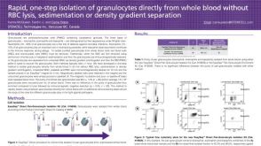 Rapid, one-step isolation of granulocytes directly from whole blood without RBC lysis, sedimentation or density spearation