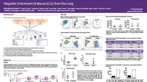 Magnetic Enrichment of Mouse ILC2s from the Lung