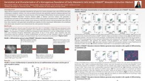 Generation and Characterization of a Homogenous Population of Early Mesoderm Cells Using STEMdiff Mesoderm Induction Medium