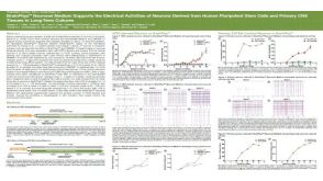 BrainPhys™ Neuronal Medium Supports the Electrical Activities of Neurons Derived from Human Pluripotent Stem Cells and Primary CNS Tissues in Long-Term Cultures