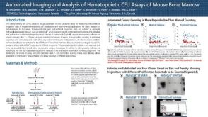 Automated Imaging and Analysis of Hematopoietic CFU Assays of Mouse Bone Marrow