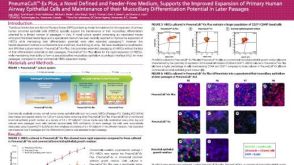 PneumaCult™-Ex Plus, a Novel Defined and Feeder-Free Medium, Supports the Improved Expansion of Primary Human Airway Epithelial Cells