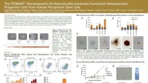 The STEMdiff™ Hematopoietic Kit Reproducibly Generates Functional Hematopoietic Progenitor Cells from Human Pluripotent Stem Cells