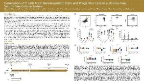 Generation of T Cells from Hematopoietic Stem and Progenitor Cells in a Stroma-Free, Serum-Free Culture System