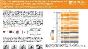Culture and Differentiation of Mouse Hepatic Organoids Using Serum-free HepatiCult™ Organoid Growth Medium