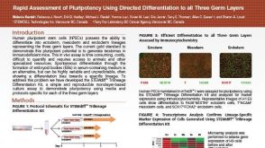 Rapid Assessment of Pluripotency Using Directed Differentiation to all Three Germ Layers
