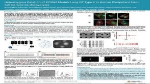 Heterozygous Deletion of KCNH2 Models Long QT Type 2 in Human Pluripotent Stem Cell-Derived Cardiomyocytes