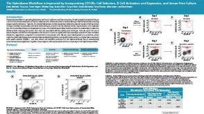 The Hybridoma Workflow is Improved by Incorporating CD138+ Cell Selection, B Cell Activation and Expansion, and Serum-Free Culture