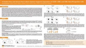 A Feeder-Free and Serum-Free Culture System Supports Expansion of CD34+ AML and CML Stem/Progenitor Cells