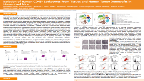 Isolation of Human CD45+ Leukocytes From Tissues and Human Tumor Xenografts in Humanized Mice