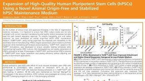 Expansion of High-Quality Human Pluripotent Stem Cells (hPSCs) Using a Novel Animal Origin-Free