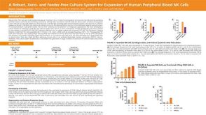 A Robust, Xeno- and Feeder-Free Culture System for Expansion of Human Peripheral Blood NK Cells