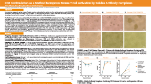 CD2 Costimulation as a Method to Improve Mouse T Cell Activation by Soluble Antibody Complexes