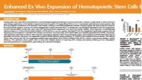 Enhanced Ex Vivo Expansion of Hematopoietic Stem Cells by a Novel Compound Cocktail