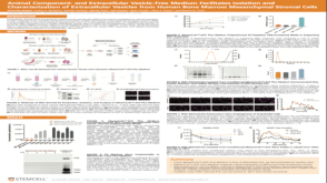 Animal Component- and Extracellular Vesicle-Free Medium Facilitates Isolation and Characterization of Extracellular Vesicles from Human Bone Marrow Mesenchymal Stromal Cells