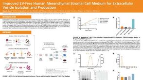 Improved EV-Free Human Mesenchymal Stromal Cell Medium for Extracellular Vesicle Isolation and Production