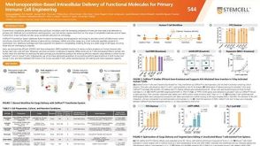 Mechanoporation-Based Intracellular Delivery of Functional Molecules for Primary Immune Cell Engineering