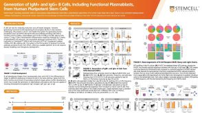 Generation of IgM+ and IgG+ B Cells Including Functional Plasmablasts from Human Pluripotent Stem Cells