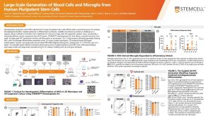 Large-Scale Generation of Blood Cells and Microglia from Human Pluripotent Stem Cells