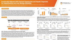 Functionally Relevant hPSC-Derived Hepatocytes and Hepatic Organoids for Hepatotoxicity and Liver Biology Modeling