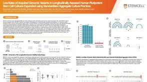 Achieving Genomic Stability in Long-Term Human Pluripotent Stem Cell Cultures Using Best Practices