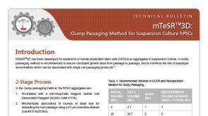mTeSR™3D: 对悬浮培养hPSCs进行细胞团块传代的方法