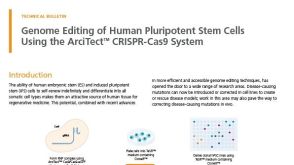 使用ARCITECT ™ CRISPR-Cas9系统进行人多能干细胞的基因组编辑