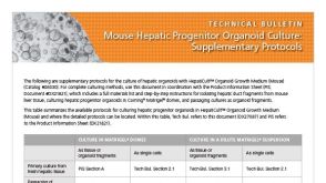 小鼠肝祖细胞类器官的培养方法:补充说明