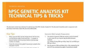 hPSC基因检测试剂盒的技术窍门和常见问题
