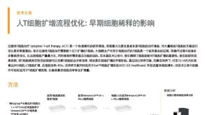 人T细胞扩增流程优化：早期细胞稀释的影响